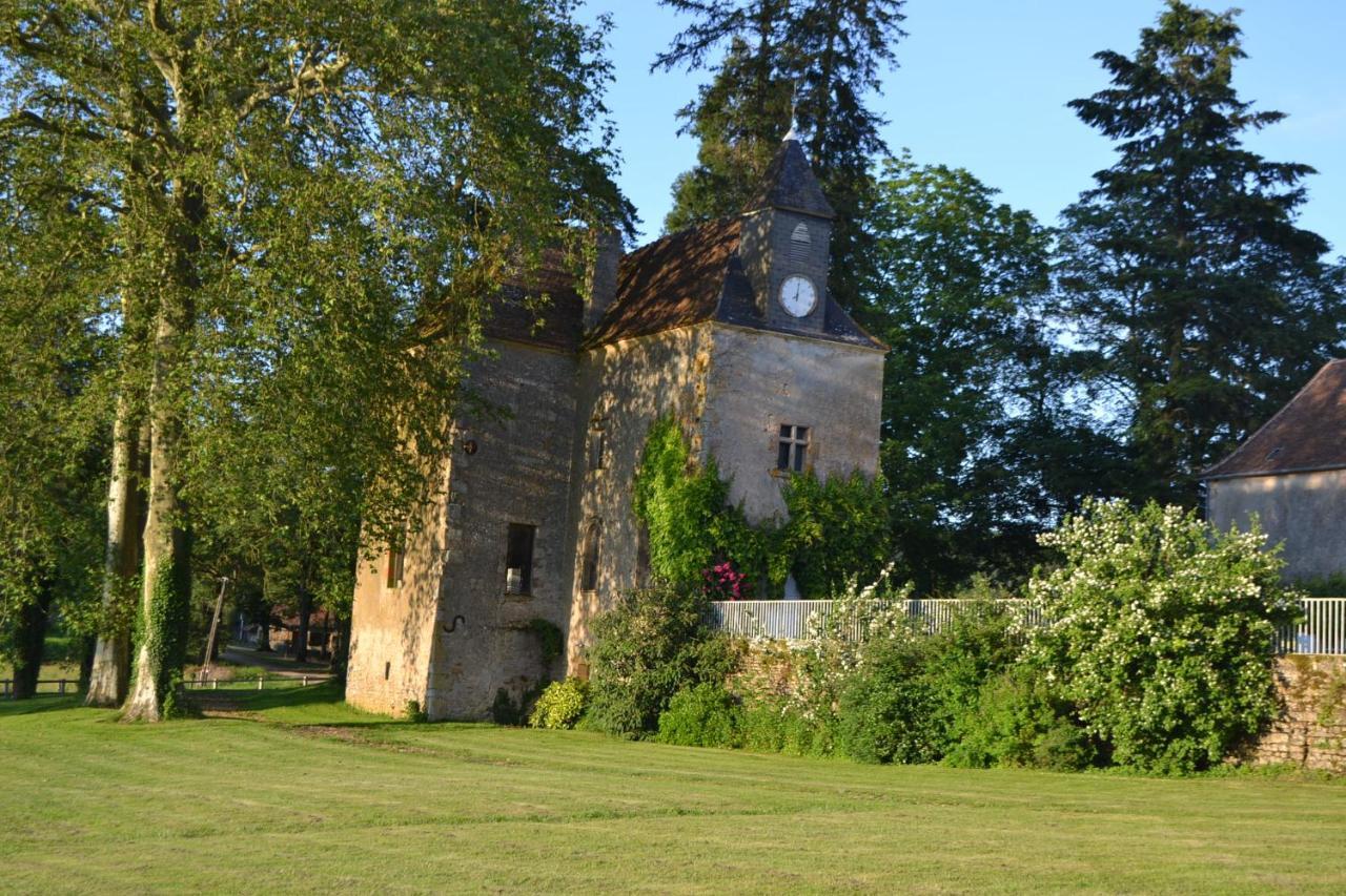 Chateau De Sury Saint-Jean-aux-Amognes Zewnętrze zdjęcie